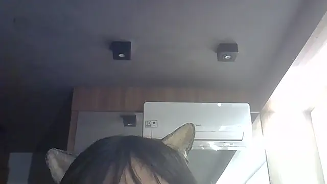 Snapshot of Skinny-Kitten chatting on July 2026 06:47:02 AM Skinny-Kitten online show from July 2026 06:47:02 AM
