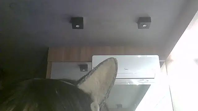 Snapshot of Skinny-Kitten chatting on July 2026 11:35:01 AM Skinny-Kitten online show from July 2026 11:35:01 AM