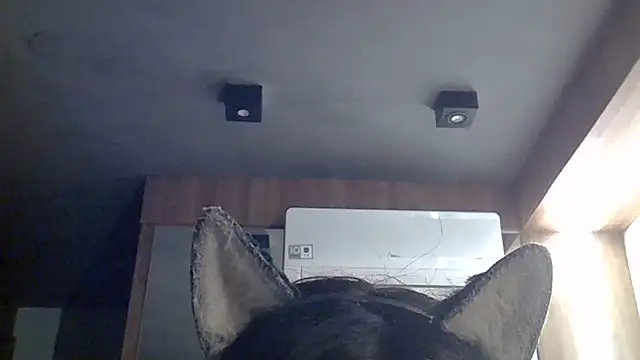 Snapshot of Skinny-Kitten chatting on July 2026 07:43:01 AM Skinny-Kitten online show from July 2026 07:43:01 AM
