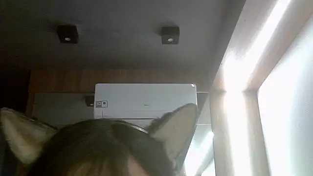 Snapshot of Skinny-Kitten chatting on July 2026 11:50:01 AM Skinny-Kitten online show from July 2026 11:50:01 AM