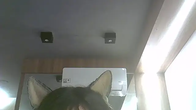 Snapshot of Skinny-Kitten chatting on July 2026 11:53:02 PM Skinny-Kitten online show from July 2026 11:53:02 PM