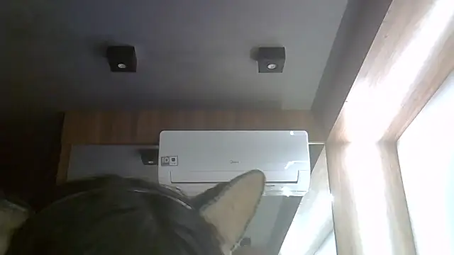 Snapshot of Skinny-Kitten chatting on July 2026 04:09:01 PM Skinny-Kitten online show from July 2026 04:09:01 PM