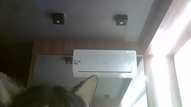 Snapshot of Skinny-Kitten chatting on July 2026 04:10:02 AM Skinny-Kitten online show from July 2026 04:10:02 AM