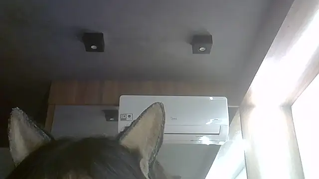 Snapshot of Skinny-Kitten chatting on July 2026 05:25:02 AM Skinny-Kitten online show from July 2026 05:25:02 AM
