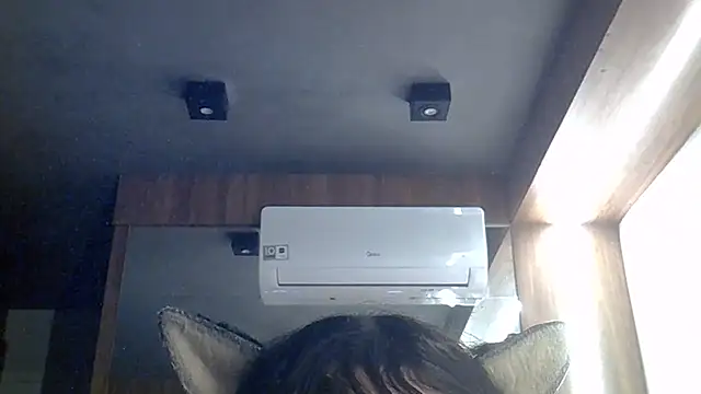 Snapshot of Skinny-Kitten chatting on July 2026 06:20:01 PM Skinny-Kitten online show from July 2026 06:20:01 PM