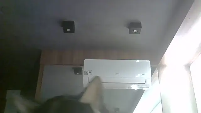 Snapshot of Skinny-Kitten chatting on July 2026 01:26:01 AM Skinny-Kitten online show from July 2026 01:26:01 AM