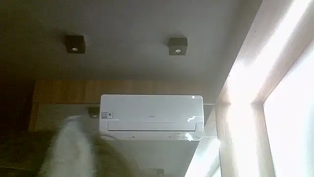 Snapshot of Skinny-Kitten chatting on July 2026 04:39:01 PM Skinny-Kitten online show from July 2026 04:39:01 PM