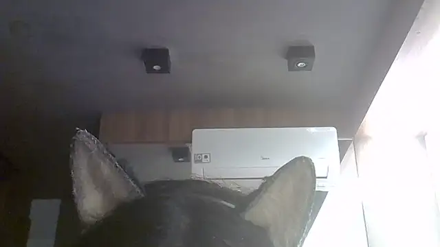 Snapshot of Skinny-Kitten chatting on August 2026 10:36:01 AM Skinny-Kitten online show from August 2026 10:36:01 AM