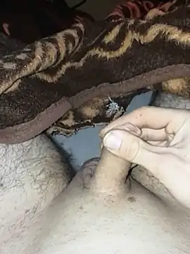 Adamvarga0318 online show from January 2025 01:09:02 AM