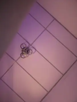 Charly  online show from December 2025 05:13:01 AM