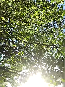 Snapshot of hottottrot691 chatting on September 2025 09:09:02 PM hottottrot691 online show from September 2025 09:09:02 PM