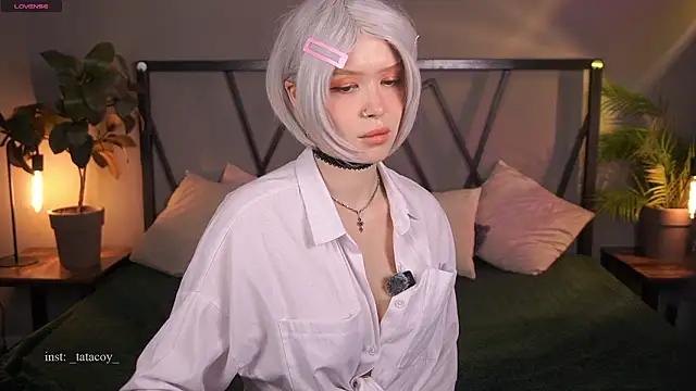 TataCoy online show from March 2026 11:59:01 AM