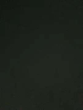 nalalye cruzz  online show from June 2026 01:08:01 AM