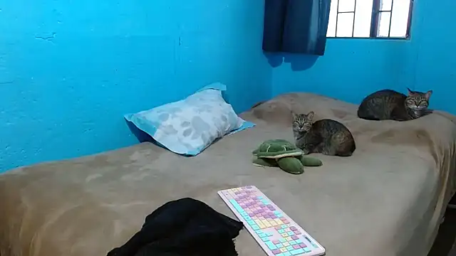 Snapshot of clarisse69 chatting on March 2025 05:10:02 PM clarisse69 online show from March 2025 05:10:02 PM