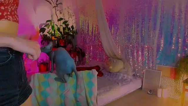 Snapshot of poli__ chatting on February 2025 02:58:02 PM poli online show from February 2025 02:58:02 PM