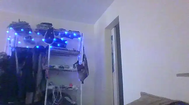 Snapshot of alphaswitchard chatting on December 2024 02:40:02 PM alphaswitchard online show from December 2024 02:40:02 PM