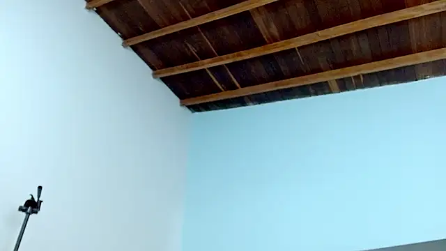 sophia hadid online show from January 2025 07:58:02 PM