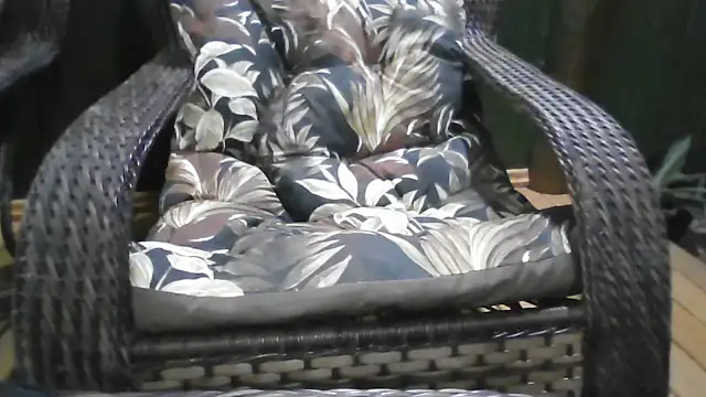 Kellynha Sweet online show from December 2025 01:13:01 AM