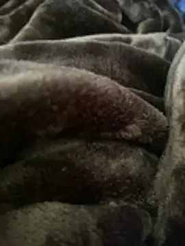 Snapshot of ft2022W chatting on March 2026 06:16:02 PM ft2022W online show from March 2026 06:16:02 PM