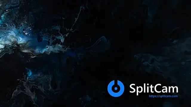 vanered2 online show from January 2026 10:51:02 AM