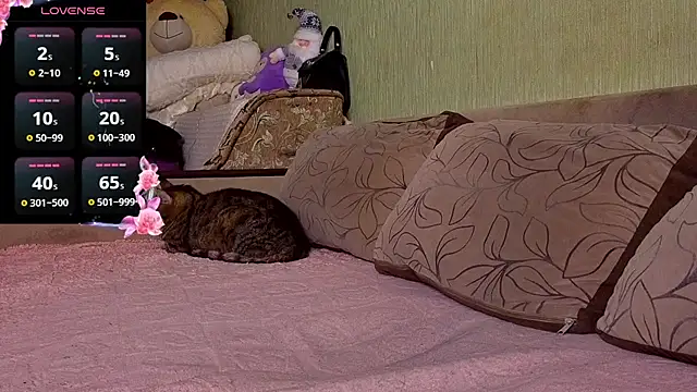 Miss Flexi fit online show from November 2025 08:57:01 PM