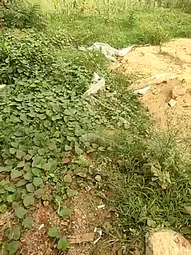 COUPLLE VILLAGE online show from May 2026 01:44:02 AM