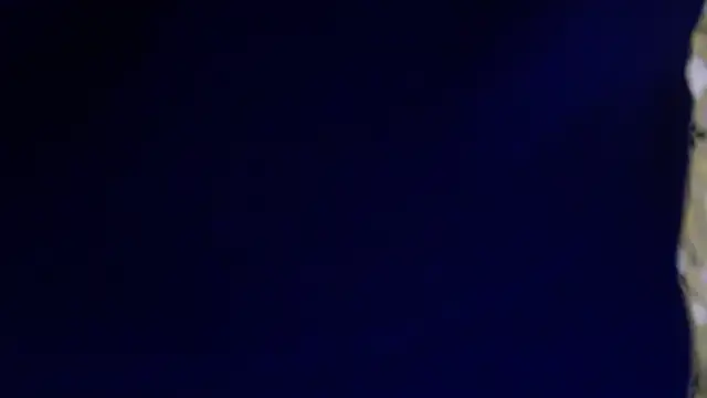 Snapshot of -AyeshaSinghania- chatting on February 2026 01:45:01 AM -AyeshaSinghania- online show from February 2026 01:45:01 AM