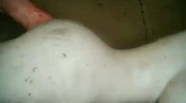 xxxlecram online show from March 2025 09:48:02 PM