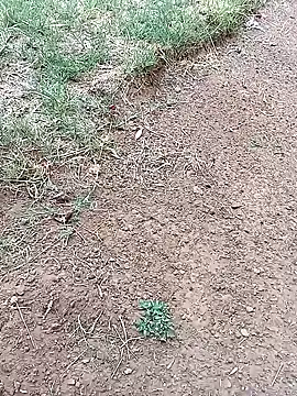 Snapshot of Vuyokaki chatting on February 2026 03:06:02 PM Vuyokaki online show from February 2026 03:06:02 PM