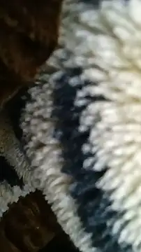 Bigcockmexi13 online show from June 2026 08:21:01 PM
