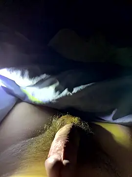 bertram59 online show from January 2026 03:42:02 AM