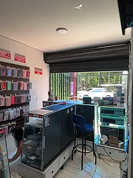  alabina  online show from January 2026 02:44:02 PM