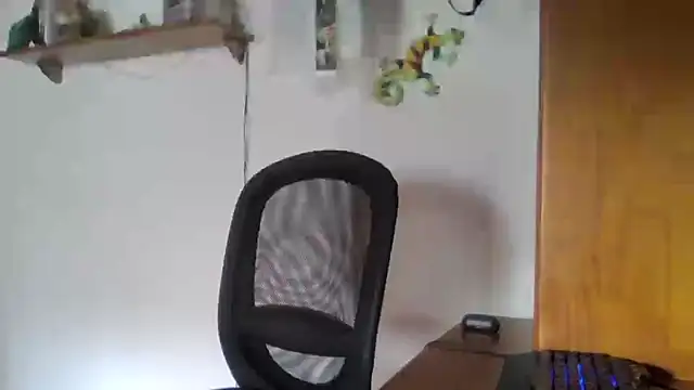 Snapshot of joaodias_97 chatting on December 2024 03:09:02 PM joaodias 97 online show from December 2024 03:09:02 PM