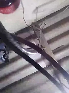 Snapshot of davidatration15 chatting on March 2025 01:10:02 AM davidatration15 online show from March 2025 01:10:02 AM