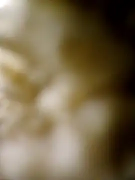 Snapshot of JObuddy661 chatting on January 2026 12:25:02 AM JObuddy661 online show from January 2026 12:25:02 AM