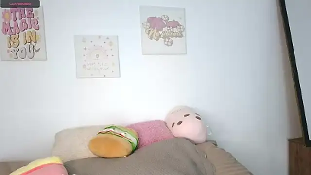 northly online show from February 2026 02:28:01 PM