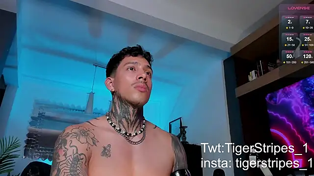 TigerStripes1  online show from February 2025 12:05:01 AM