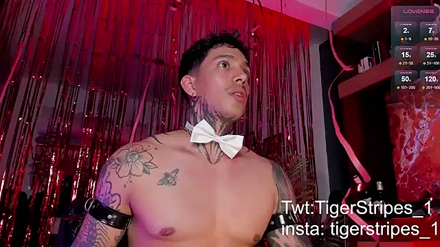 TigerStripes1  online show from February 2025 12:15:01 AM