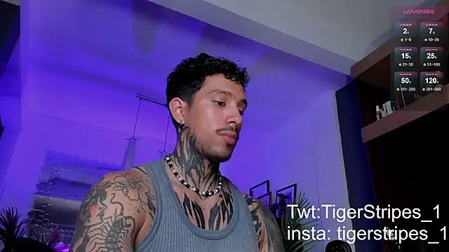 TigerStripes1  online show from March 2025 01:47:02 AM