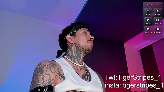 TigerStripes1  online show from March 2025 10:42:01 PM