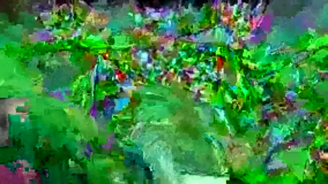 bigdon5169 online show from May 2026 02:54:01 PM
