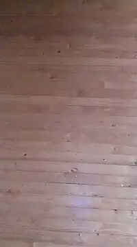 Snapshot of aliosa23 chatting on January 2025 11:35:01 AM aliosa23 online show from January 2025 11:35:01 AM