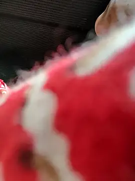 Snapshot of Kolkata___Boy chatting on November 2025 05:46:01 AM Kolkata Boy online show from November 2025 05:46:01 AM